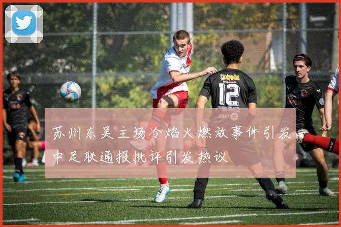 苏州东吴主场冷焰火燃放事件引发中足联通报批评引发热议