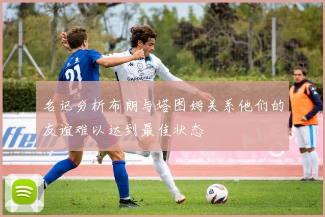 名记分析布朗与塔图姆关系他们的友谊难以达到最佳状态